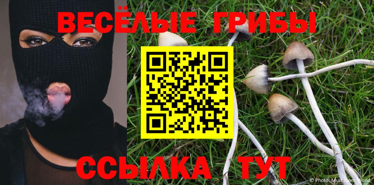 где продают   Псилоцибиновые грибы GOLDEN TEACHER  Вход с VPN  Удомля 