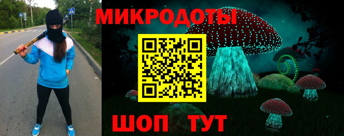 Галлюциногенные грибы Psilocybe Удомля